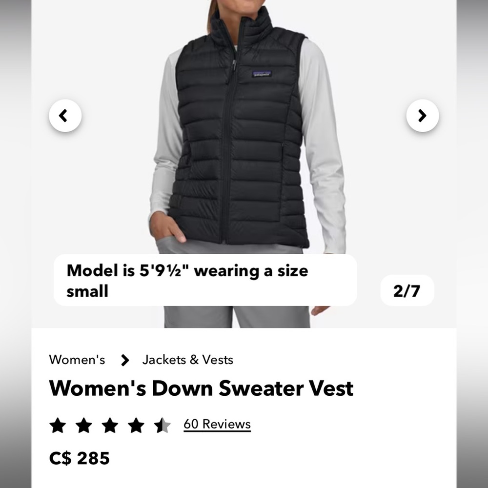 Patagonia down sweater vest
